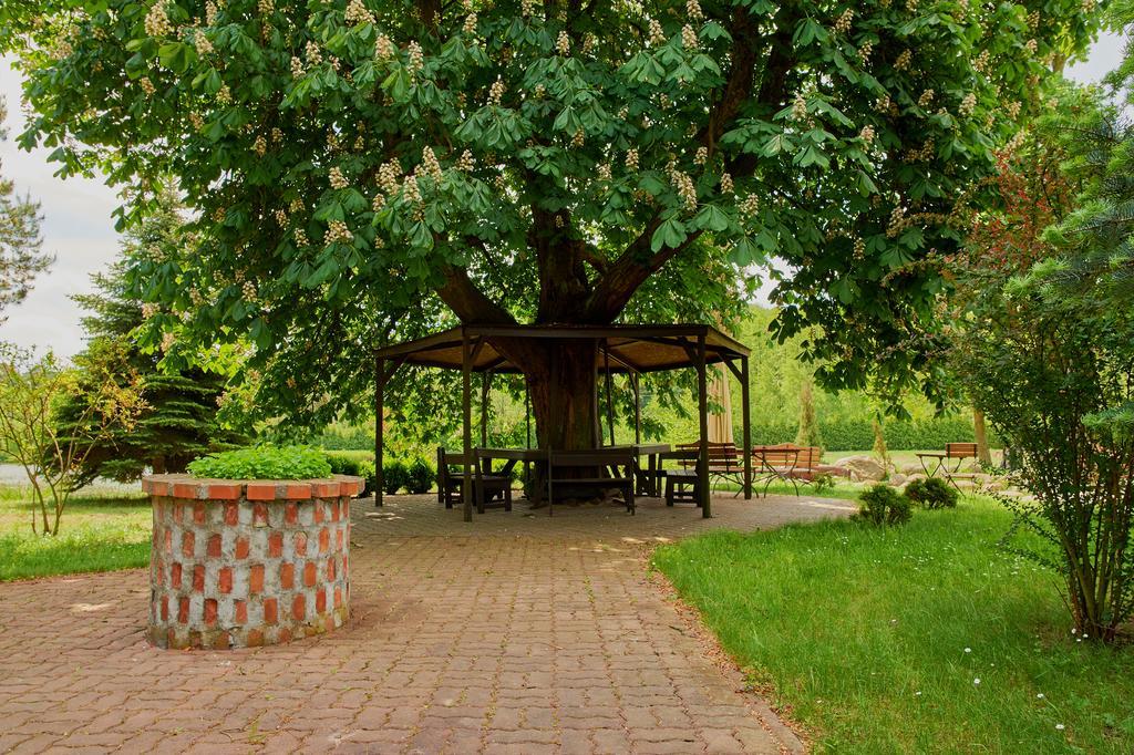 Bed and Breakfast Rancho Мала Нешавка Екстер'єр фото